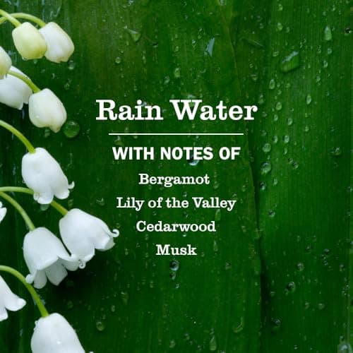 MRS. MEYER'S CLEAN DAY Hand Soap Refill, Rain Water Scent, 33 Fl Oz Bottle — view 2