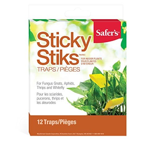 Safer's 07-2122CAN Houseplant Sticky Stake Insect Traps for Indoor Plants - Controls Fungus Gnats, Whiteflies, Midges, Thrips, Fruit Flies, and Black Flies - 12 Traps