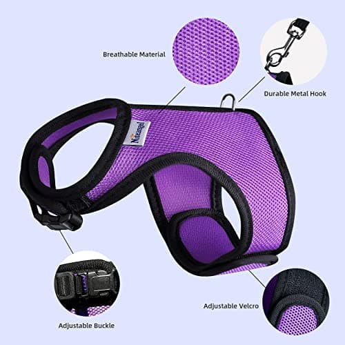 Niteangel Adjustable Soft Harness with Elastic Leash for Rabbits (XL, Blue) — view 2