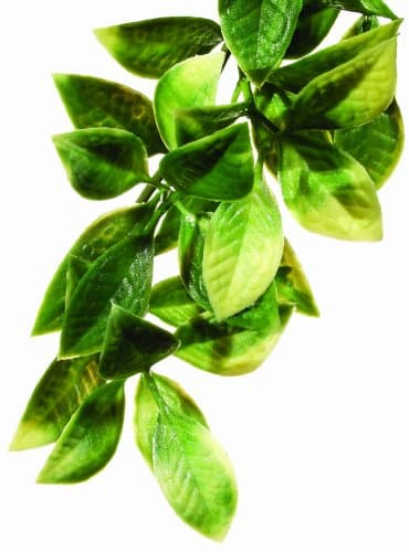 Exo Terra Jungle Plant - Mandarin - Small