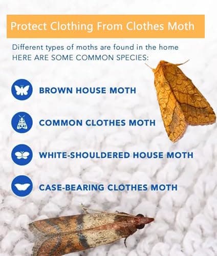 【𝐇𝐢𝐠𝐡𝐥𝐲 𝐄𝐟𝐟𝐞𝐜𝐭𝐢𝐯𝐞】 Clothes Moth Traps with Extra Strength Pheromone Attractant -NonToxic Sticky Glue for Closet and Carpets Bearing Webbing Moths, 6 Pack — view 4
