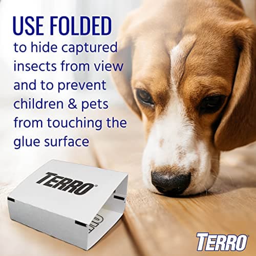 TERRO T3206CAN 4-Pack Spider & Insect Trap — view 6