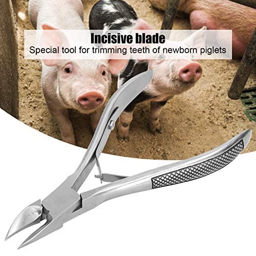 Stainless Steel Piglet Teeth Nippers – Multipurpose Animal Tooth and Nail Clipper – Veterinary Tool with Non Slip Handle for Farm — view 4