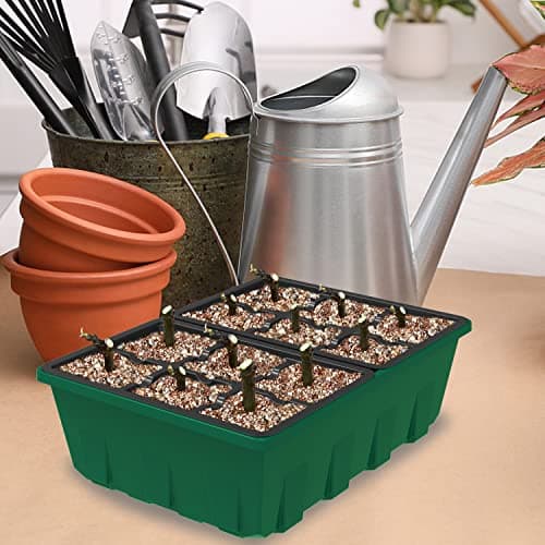 Gardzen 10-Set Garden Propagator Set, Black Seed Tray Kits with 120-Cell, Seed Starter Trays with Dome and Green Base 6.6" x 4.5" (12-Cell Per Tray) — view 5