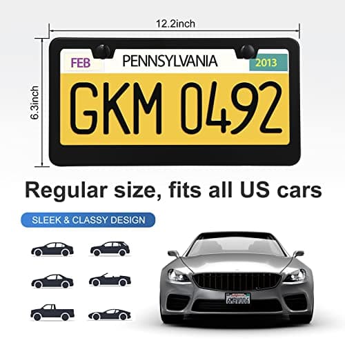 QUANQIUFEI 2 Pack License Plate Frames, Stainless Steel Car License Plate Cover Car Accessories with Screw Caps (Black)
