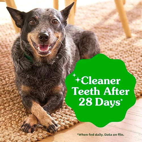 Greenies Veterinarian-Recommended Adult Natural Dental Dog Treats Teenie Size, Dog Dental Chews, Original Flavor, 36 oz. Pack, 130 Count — view 4