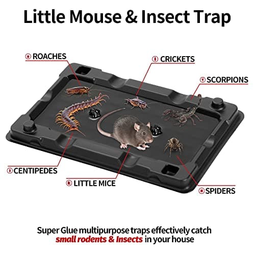 LULUCATCH Mouse & Insect Traps 12 Pack, Heavier Sticky Traps with Non-Toxic Glue for Small Mice & Insects. Sticky Mouse Traps Indoor for Home, Easy to Set
