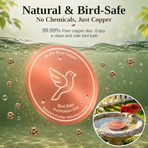 Azomabox Copper Disc for Bird Bath, 99.9% Pure Copper (Dove) — view 4