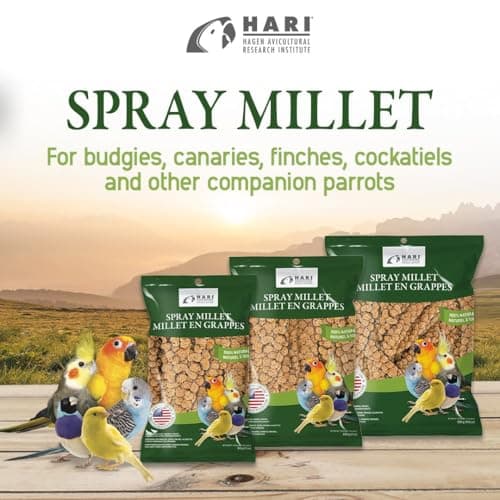 Hari Spray Millet - 500 g (17.6 oz) — view 5