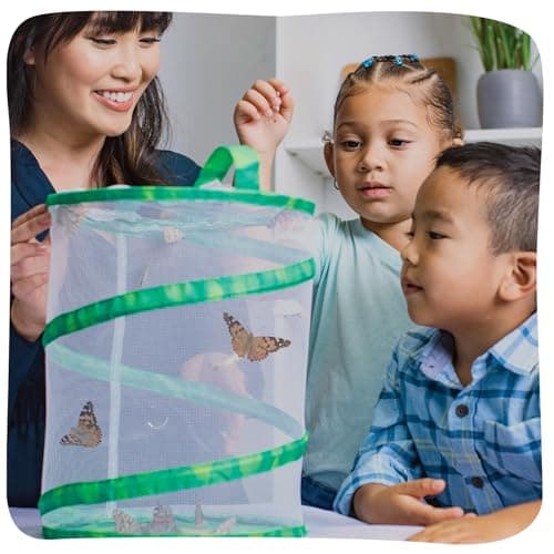 Insect Lore Raise and Release Butterfly Garden Kit – Caterpillar Habitat with redeemable Voucher – STEM-accredited Butterfly Growing Kit for Kids, Classrooms, and Homeschool Learning — view 2