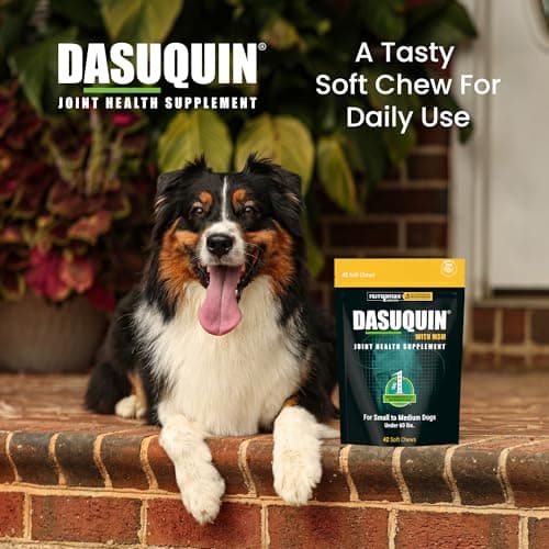 Nutramax Dasuquin for Small to Medium Dogs, Joint Health Supplement, Contains Glucosamine for Dogs, Plus Chondroitin, ASU, MSM and More, Supports Healthy Joints, Soft Chews, 42 Count — view 3