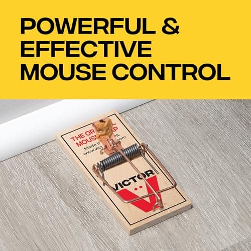 Victor Metal Pedal Sustainably Sourced FSC Wood Snap Mouse Trap - 4 Wooden Traps - M156 - Snap Traps for Mice - Reusable or Disposable Mouse Trap