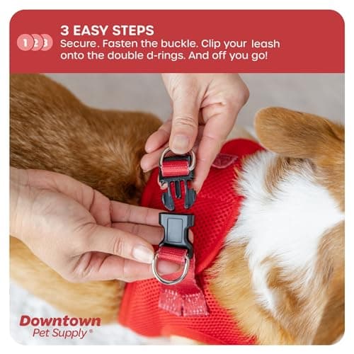 Downtown Pet Supply Step in Dog Harness for Small Dogs No Pull, Large, Red - Adjustable Harness with Padded Mesh Fabric and Reflective Trim - Buckle Strap Harness for Dogs — view 5