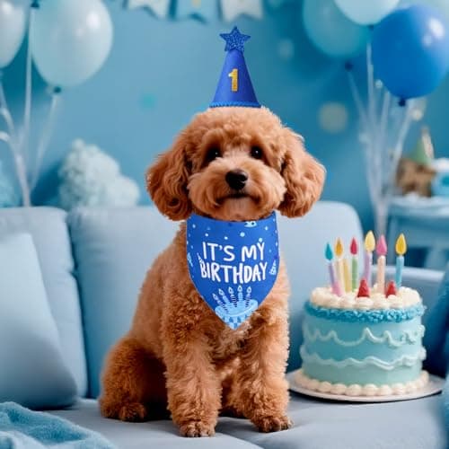 Agroon Blue Dog Birthday Party Supplies with Hat Bandana Numbers — view 5