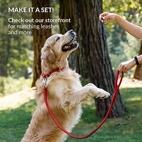 CollarDirect Rolled Leather Dog Collar, Soft Padded Round Puppy Collar, Handmade Genuine Leather Collar Dog Small Large Cat Collars (Red Smooth, 15-18 cm) — view 5