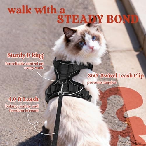 rabbitgoo Cat Harness and Leash for Walking, Escape Proof Soft Adjustable Vest Harnesses for Small Medium Cats, Easy Control Breathable Reflective Strips Jacket, XS, Black — view 4