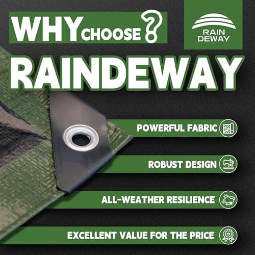 RAINDEWAY Small Tarps 3x3 Feet(2 Pack),Tarp Waterproof,Easy Tie Down,9Mil Thick Finished Size,Multipurpose Protective Cover with Metal Grommets and Reinforced Edges,Green/Black