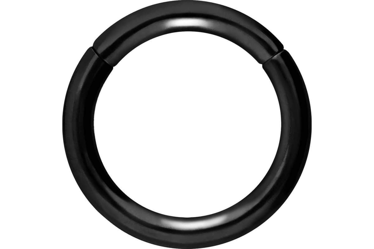 PIERCINGLINE Anillo segmento Clicker de acero quirúrgico – Piercing en oro, plata, rosa, negro o azul – para nariz, tabique, oreja, hélice o tragus — view 124