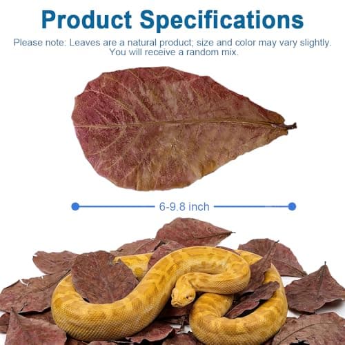 30PCS Premium Indian Almond Leaves,Size 6-9.8",Release Natural Tannins,Improves Immunity, Provide Shelter and Food in Fish,Leaf Suitable for Betta Fish,Shrimp, Snakes and Frogs