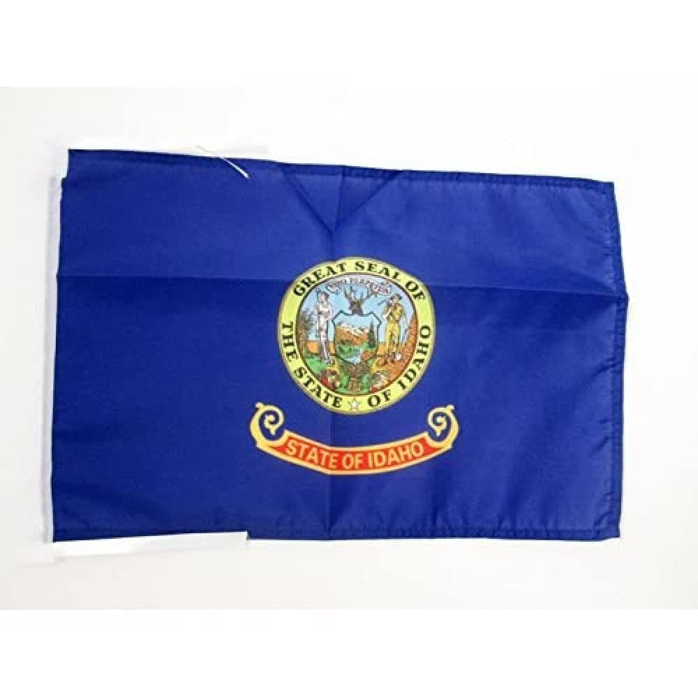 AZ FLAG Bandera de ESPAÑA SIN Armas 45x30cm - BANDERINA ESPAÑOLA SIN Escudo 30 x 45 cm cordeles — view 24