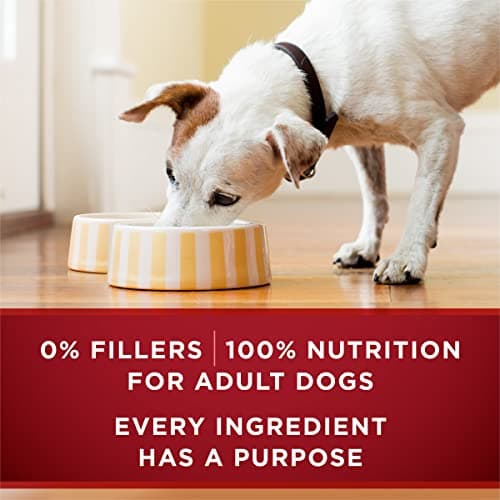 Purina ONE High Protein Wet Dog Food True Instinct Tender Cuts in Dog Food Gravy With Real Beef and Wild-Caught Salmon - (Pack of 12) 13 oz. Cans — view 5