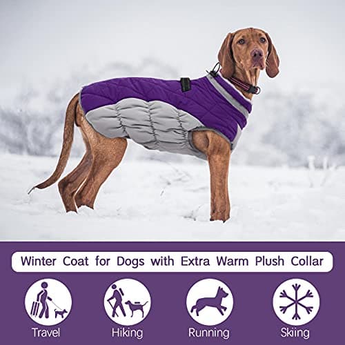 FUAMEY Dog Coat for Medium Dogs,Waterproof Dog Winter Jacket with Harness Built in Puppy Cold Weather Coats Reflective Pet Vest with Zipper Warm Fleece Dogs Snowsuit Windproof Purple M — view 2