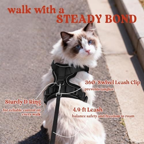 rabbitgoo Cat Harness and Leash for Walking, Escape Proof Soft Adjustable Vest Harnesses for Small Medium Cats, Easy Control Breathable Reflective Strips Jacket, XXS, Black — view 4