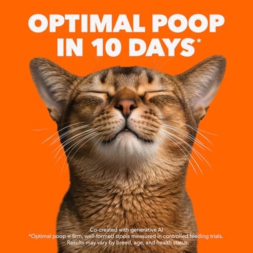 IAMS Proactive Health Healthy Enjoyment Adult Dry Cat Food – Chicken & Beef – 1.36KG (2.9LB) Bag — view 2