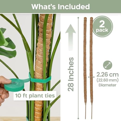 K-Brands 2 Pack 28 Inches Bendable Moss Pole Monstera Plant Support for Climbing Indoor Plants - Stakes for Potted Climbers - Tall Sticks Indoor Trellis for Houseplants - Accessories for Monstera Pot