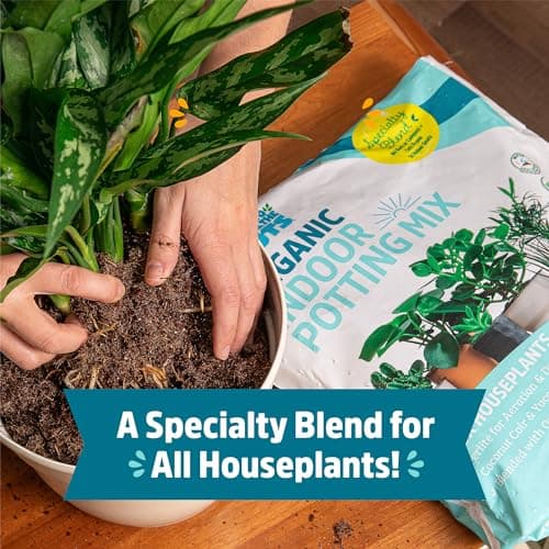 Back to the Roots 100% Organic Indoor Potting Mix (6 Quart), Promotes Healthy Houseplant Growth, Made in The USA — view 2
