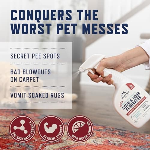 Rocco & Roxie Extreme Stain & Odor Eliminator for Strong Odor, Pet Urine Enzyme Cleaner Destroyer, Stain Remover, Dog Poop and Cat Pee, Enzymatic Carpet Cleaner Spray for Home, Puppy Potty Training — view 3