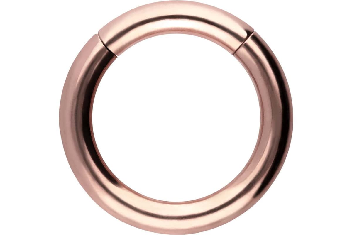 PIERCINGLINE Anillo segmento Clicker de acero quirúrgico – Piercing en oro, plata, rosa, negro o azul – para nariz, tabique, oreja, hélice o tragus — view 47