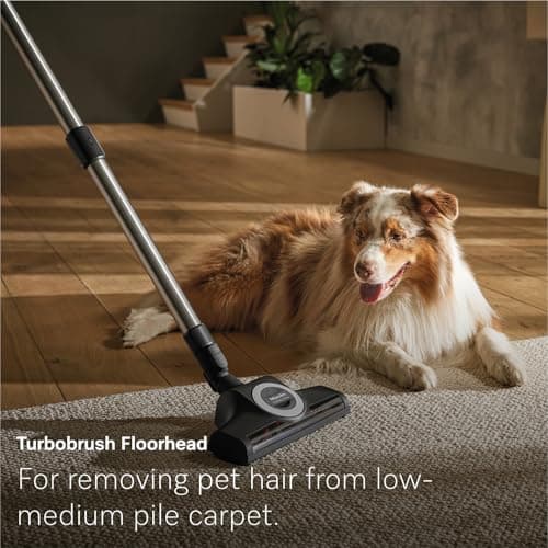 NEW Miele Guard M1 Cat & Dog Bagged Canister Vacuum for Pet Owners with Odor-Reducing Active AirClean Filter, TurboTeQ Floorhead, and AllTeQ Universal Floorhead, in Obsidian Black/Space Grey — view 3