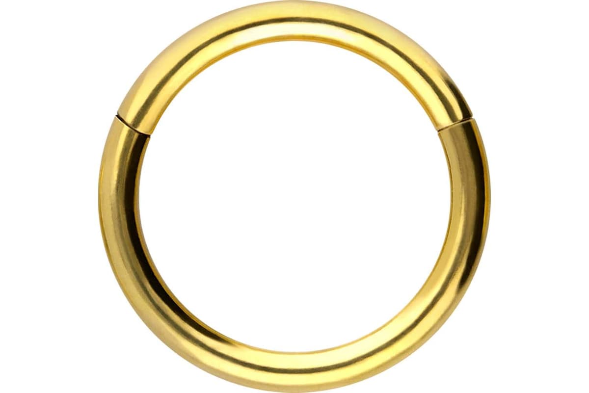 PIERCINGLINE Anillo segmento Clicker de acero quirúrgico – Piercing en oro, plata, rosa, negro o azul – para nariz, tabique, oreja, hélice o tragus — view 54