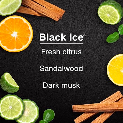 LITTLE TREES Car Air Freshener | Hanging Tree Provides Long Lasting Scent for Auto and Home | Black Ice, 24 Air Fresheners — view 3