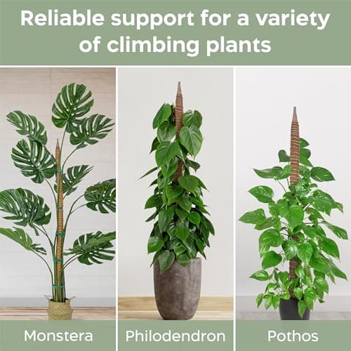 2 Pack 63'' Bendable Moss Pole Monstera Plant Support for Large Climbing Indoor Plants - Stakes for Potted Climbers - Tall Sticks Indoor Trellis for Houseplants - Accessories for Monstera Pot — view 3