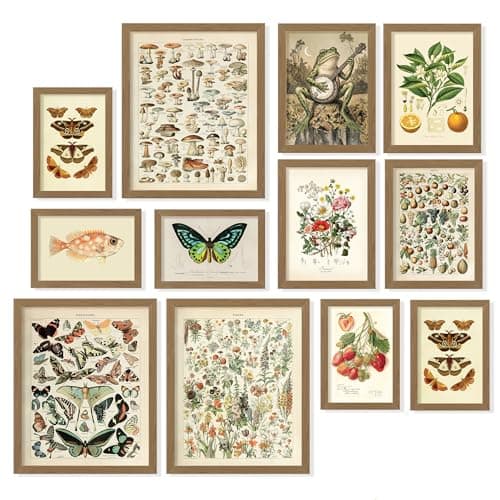 97 Decor 12 Pcs Cottagecore Wall Art Set - Vintage Posters For Room Aesthetic, Botanical Gallery Wall Prints For Bedroom, Cottage Core Room Decor For Home, Dorm, Living Room (Unframed)