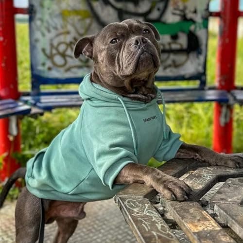 Spark Paws Dog Hoodie – Premium Dog Sweater for Small, Medium, and Large Dogs | Warm Outfits for French Bulldogs, Pitbull, Puppy, Winter Jacket Alternative - Teal - 2XL — view 2
