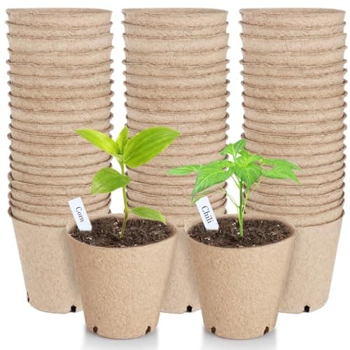 Peat Pots 8 cm, 65 Pcs Seed Starting Pot with Drainage Holes, 3.15 Inch Round Seedling Nursery Box, Small Seed Starting Starter Tray Bulk, Garden Germination Container with Bonus 65 Plant Labels