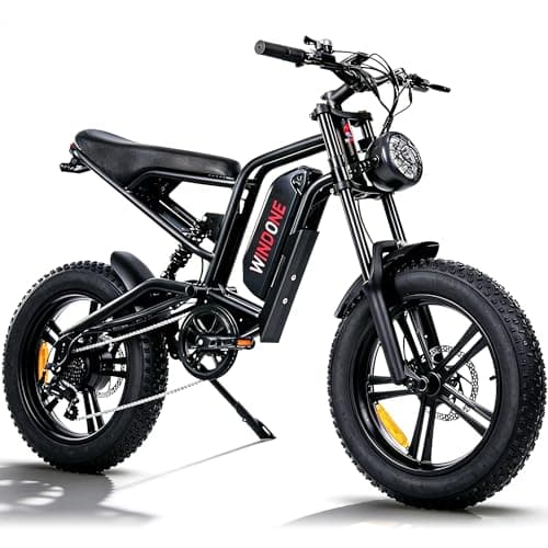 Windone E2 Electric Bike for Adults - 1000W Peak 20" Fat Tire Electric Dirt Ebike, Up to 45KM/H, 75KM Range, 48V 13Ah Removable Battery, Moped Style All-Terrain E Bike for Commuting & Off-Road
