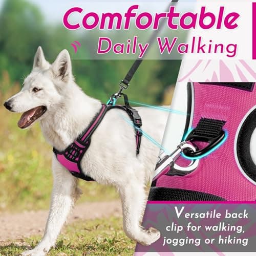 Eagloo Dog Harness No Pull, Walking Pet Harness with 2 Metal Rings and Handle, Adjustable Reflective Breathable Oxford Soft Easy Control Vest for Small Medium Large Dogs, Rose Red, L — view 3