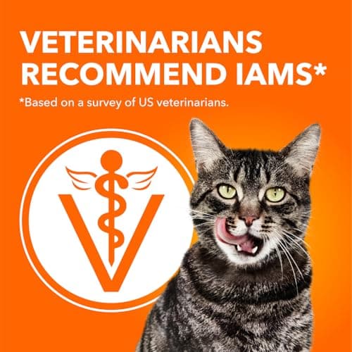 IAMS Proactive Health Healthy Enjoyment Adult Dry Cat Food – Chicken & Beef – 1.36KG (2.9LB) Bag — view 4