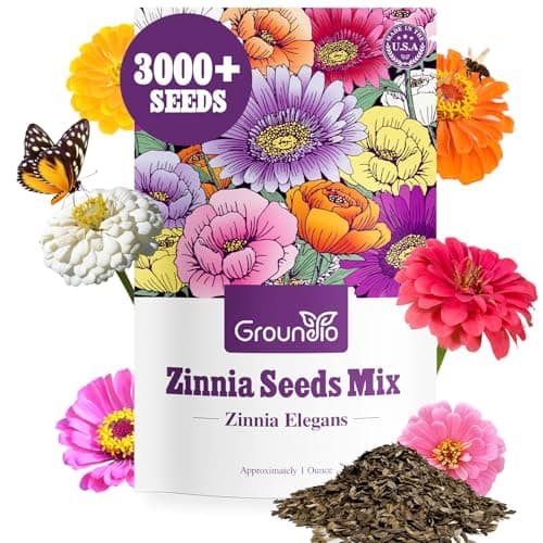 Groundio Zinnia Seeds Mix, 1 Oz, Over 3,000 Flowers Seeds, 5 Varieties (Pink, Yellow, Orange, White, Purple), Mixed Colors and Large Blooms,Open Pollinated - Bulk