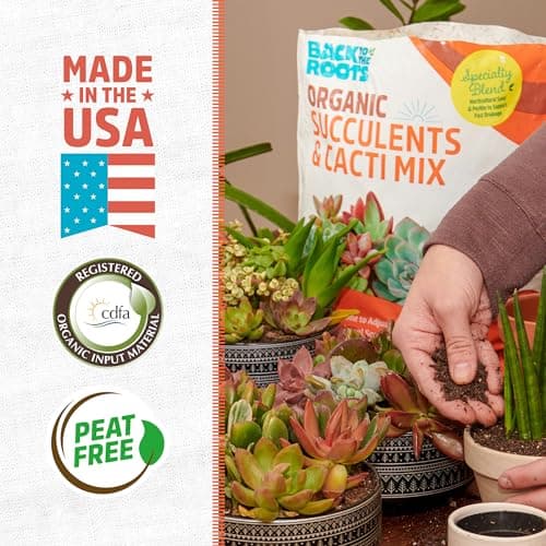 Back to the Roots 100% Organic Succulent & Cacti Mix (6 Quart) | Made in the USA | Premium Nutrition for Indoor and Outdoor Plants
