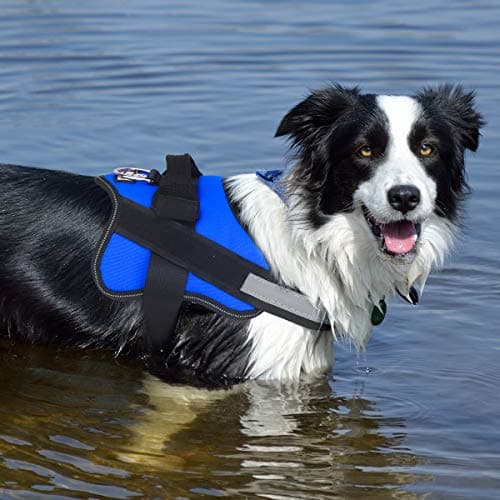 Bolux Dog Harness, No-Pull Reflective Dog Vest, Breathable Adjustable Pet Harness with Handle for Outdoor Walking - No More Pulling, Tugging or Choking (Blue, S) — view 5
