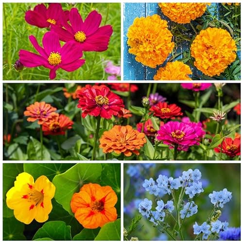 Seed Needs Flower Seeds Hummingbird and Butterfly Mix 1 Ounce Bulk Pack — view 5