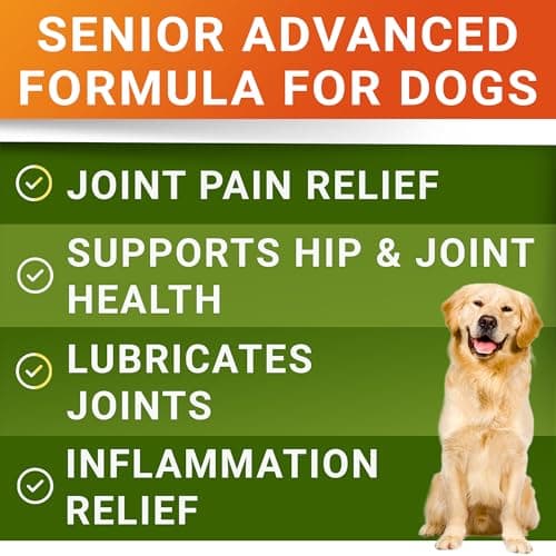 Senior Advanced Glucosamine for Dogs - Small + Large Breeds -Omega-3 Fish Oil - Chondroitin, MSM- Soft Chews for Older Dogs - Bacon Flavor - 120Ct