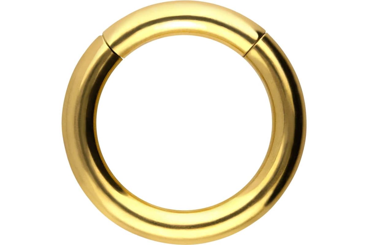 PIERCINGLINE Anillo segmento Clicker de acero quirúrgico – Piercing en oro, plata, rosa, negro o azul – para nariz, tabique, oreja, hélice o tragus — view 98