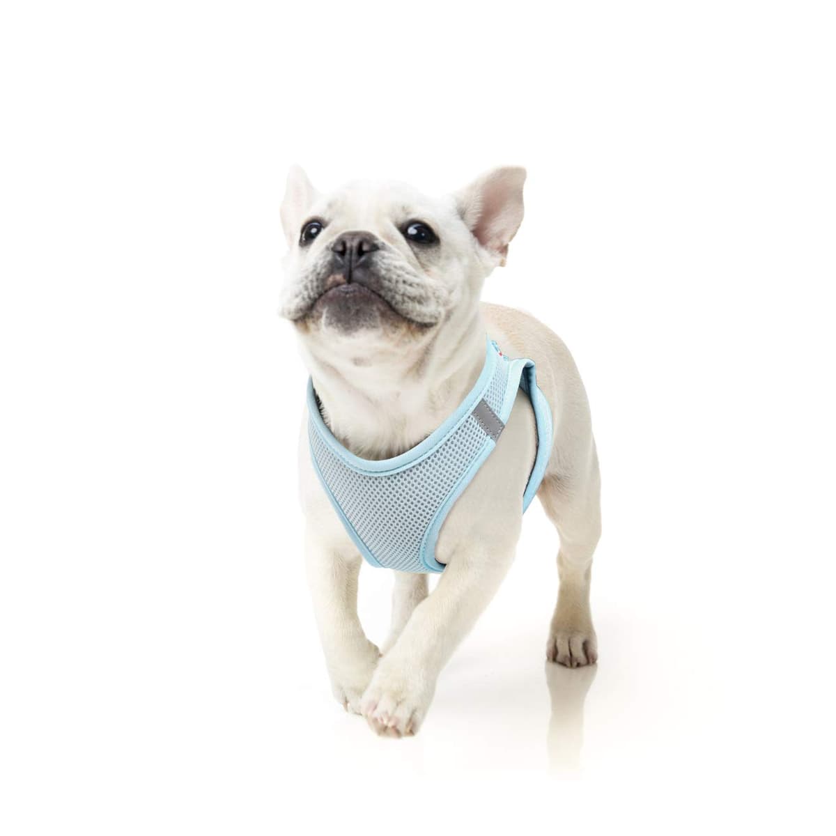 HEELE Arnes Perro Pequeño con Lineas Reflecantes Arnés Perro Antitirones Ajustable Suave Acolchado Cómodo para Viajar Pasear con Mascota, Rosa, S — view 22