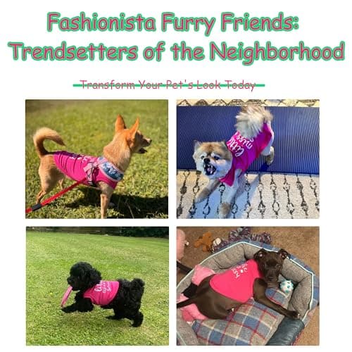Paiaite Dog Clothes Fashionable Sleeveless Pet Vest: 'Little Miss Sassy' Printed Cotton Dog Shirt, Ideal for Small, Medium, and Large Breeds, Ensuring Comfort and Breathability Rose Red M — view 5